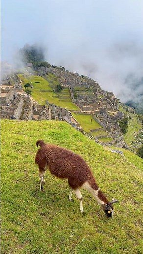One of the 7 Wonders of the World, Machu Picchu, Peru