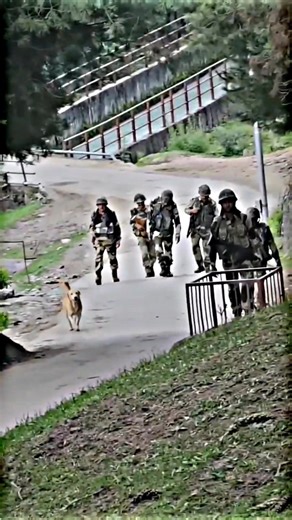 Main wapas aaunga #todaybestvideochallenge #viralreelschallenge #trendingreelsvideo #trendingreel #viralvideochallenge #viralchallenge #viral #trending #armylover #bsf #mainwapasaaunga | BSF DAIRY