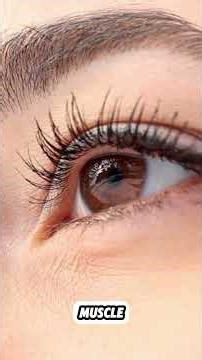 Eat 1 Egg a Day — 5 Science-Backed Benefits for Your Body Over 50 #seniorfitness #food