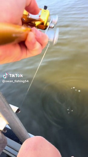 Big on’s with the pen rod #fishing #penrod #fyp | Fishing