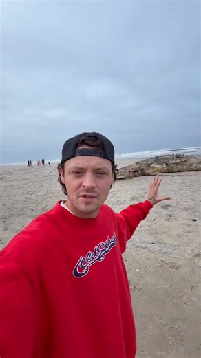 Look at this huge animal that washed up on the beach! #Animals #Nature | Kayla Liane