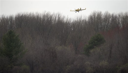 Spring mosquito aerial treatment set to begin in Saginaw County