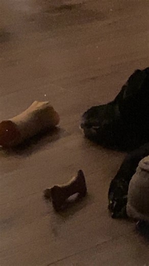 Scary lab. Don’t wake her up