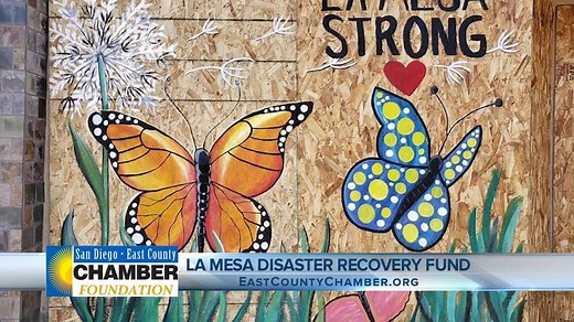 55K views · 85 reactions | Area businesses and organizations have stepped up to help the communities they serve. Rene McKee of California Coast Credit Union and Rick Wilson from the San Diego East County Regional Chamber of Commerce talk about their partnership with the La Mesa Disaster Recovery Fund. #10NewsSponsor | KGTV | 10News – ABC San Diego KGTV | Facebook