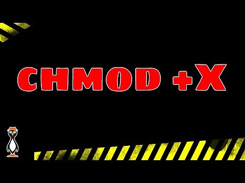 Linux Permissions and Using + X with chmod