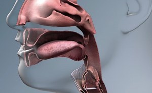 Mouth and Throat Assessment