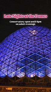 178 reactions · 36 shares | With holiday lights illuminating the...