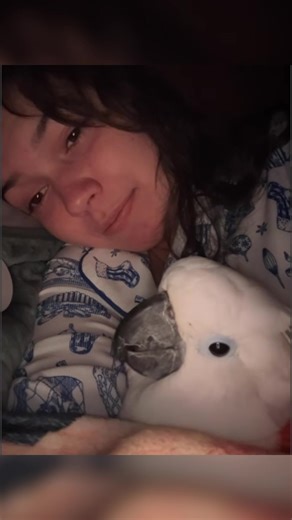 Hilarious Reaction of a Sad Cockatoo After Adoption