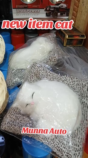 Antique New Cat Piece from Munna Auto