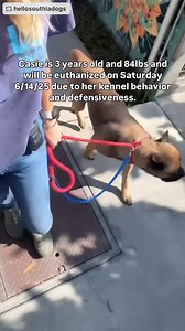 91K views · 5.2K reactions | We are sad to report that Casie didn’t...