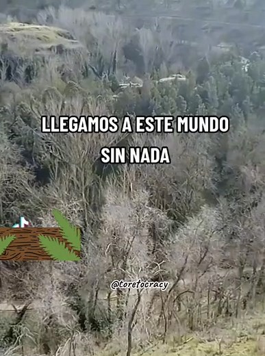 Willy🚶‍♂️ (@willy_2232)’s videos with sonido original - Willy🚶‍♂️