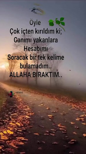 Tranquil Forest Path: Finding Peace in Nature