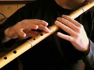 The Trip to The Cottage - Irish Flute Tutorial - Tradschool