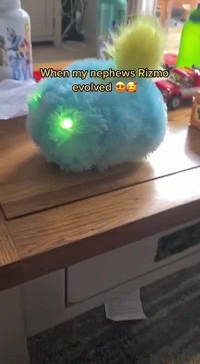 Rizmo Toy Review and Reset Guide