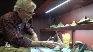 How a self-taught fossil hunter made his biggest discovery