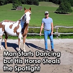He started dancing — but it was his horse that stole the spotlight! 😍👏(check in the first comment👇) | Henry Cavill Fans