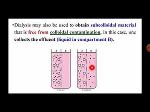 Lecture 6 / Pharmaceutics (1)