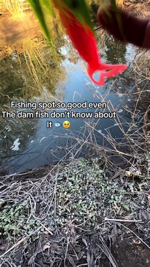 Discover Hidden Fishing Spots for Unforgettable Adventures