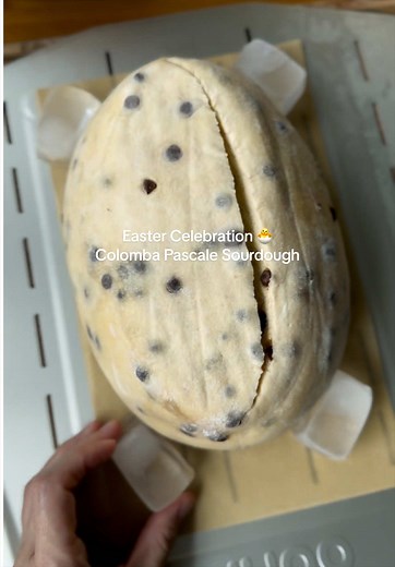 Easter Sourdough Colomba: Lighter Italian Classic