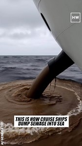 Cruise Ship Dumping Sewage—Caught! | Humanity Wins