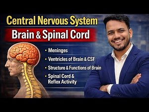 Central Nervous System | Brain structure & Functions | Brain ventricles | CSF | Spinal Cord & tracts