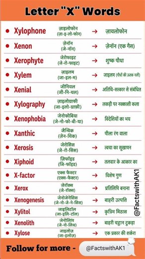 Letter "X" Words #english #spokenenglish #englishvocabulary #dailyenglishwords #easyenglish #explore