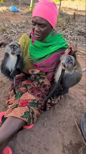 Sardar's wife likes to get hunted monkey's children | #africantribedailylife #africantribe