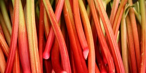 Yes, Rhubarb CAN Be Poisonous—Here’s What To Look Out For