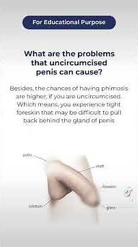 What are the problems that are associated with uncircumcised penis?