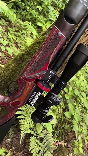 Wilderness Vs Cayenne Edition. BSA R12 CLX Pro. Which one would you pick?