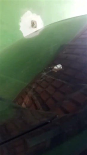 19 de fevereiro de 2026