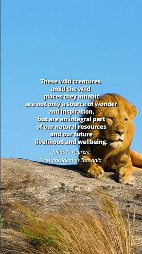 Julius K. Nyerere on the Connection Between Humans and Wildlife | Wild Africa
