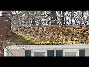How to Remove moss from a roof.