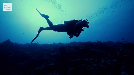 9.7K views · 76 reactions | Imagine taking a dive in the water and seeing this!? Plus, what’s that bizarre moving light flashing in the sky? Catch these strange stories and more on a new episode of Weird Earth Sunday night at 8/7c. | The Weather Channel | Facebook