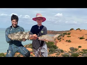Whiting on Surface lures! and a Shark bay Mangrove Jack?