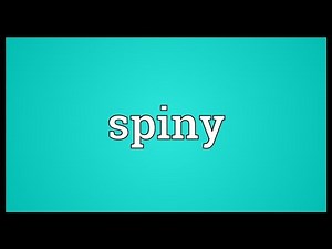 Spiny Meaning