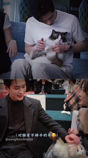 Wanghaozhen #wanghaozhen #王皓祯 #houchengyue #chinesedrama