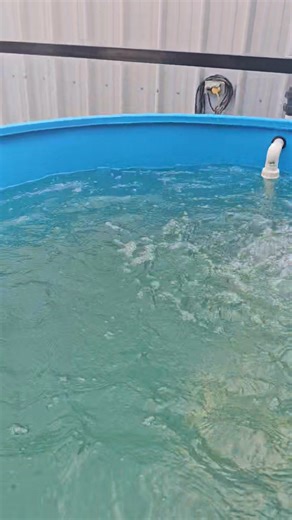 13K views · 136 reactions | Progress Update!!!! 30ft x 120ft Greenhouse, equipped with Hydroponics. Aquaculture, Rainwater Harvesting, Crop Processing room and a Misting system. Take a look Interested? Call or whatsapp 388-7700 for more info. | ARIAPONICS LTD | Facebook