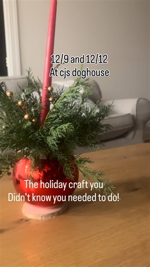 CJ's Doghouse on Instagram: "Here is the sign up genius link $18 centerpiece or hanging decor made with 6in ornament! #craftnight #winenight #girltime https://facebook.com/events/s/craft-night-cjs-doghouse/3362345583914037/"