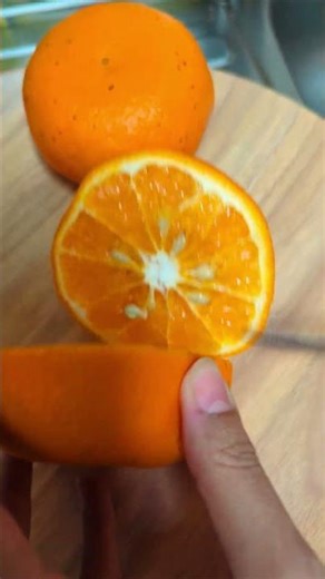 DO NOT BUY NINJA SLOW JUICER BUY THIS CHEAP JUICER $30