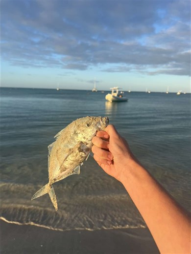 Weekend Fishing Adventures in Perth