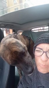 3.8K views · 113 reactions | LEGGERE ATTENTAMENTE...