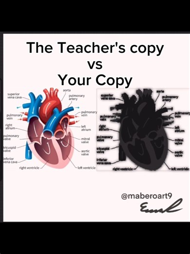 The Teacher's copy and the copy she gives you. #meme #funny #art #digitalart #procreate