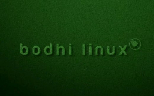 【凛白】绿色(一种颜色)的Linux发行版——Bodhi Linux安装体验