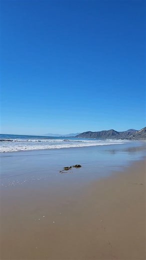 GRATEFUL FOR TODAY | Jonathan Shaw Works