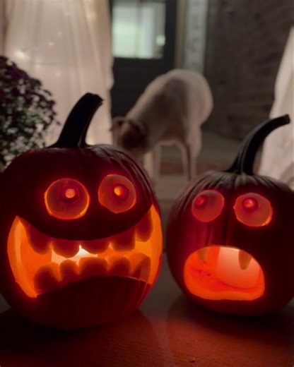 The Paint Splash on Reels | Facebook