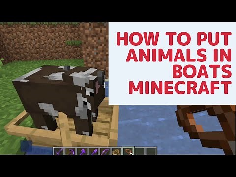 How To Put Animals In Boats | Minecraft