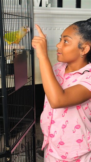 THE SWAG PRINCESS 👸🏽💕 on Instagram: "EARLY BIRTHDAY GIFT 🎁🎉🤞🏽 MEET MY NEW Green-Cheeked Parakeet : SKEETER 🦜🤞🏽💚 #greencheekedparakeet #greencheekconure #parakeets #parakeetsofinstagram #greenparakeet #animallover #birds #nature #animals"