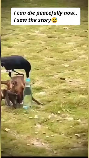 149K views · 1.1K reactions | Work smart, not hard | Filmelon | Facebook