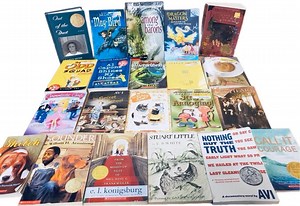 Children's Chapter Book Lot: 20 Random Books, YA, Reading Level 2-6 - Etsy